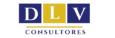 dlvconsultores.com